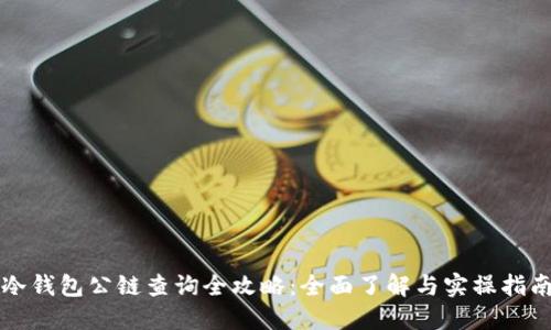 冷钱包公链查询全攻略：全面了解与实操指南