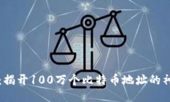 中本聪：揭开100万个比特