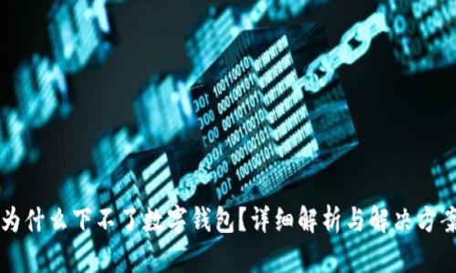 为什么下不了数字钱包？详细解析与解决方案