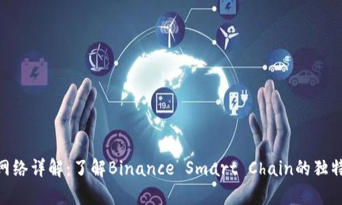 虚拟币BSC网络详解：了解Binance Smart Chain的独特优势与前景