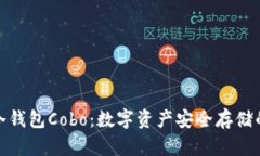 全面解析冷钱包Cobo：数字