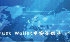 如何在Trust Wallet中安全提