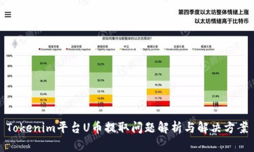 Tokenim平台U币提取问题解析与解决方案