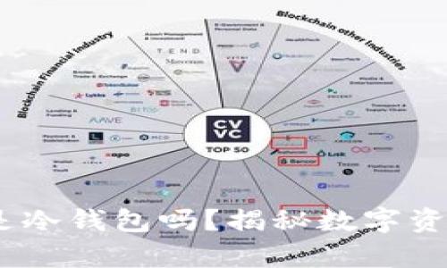 MetaMask 是冷钱包吗？揭秘数字资产存储的真相