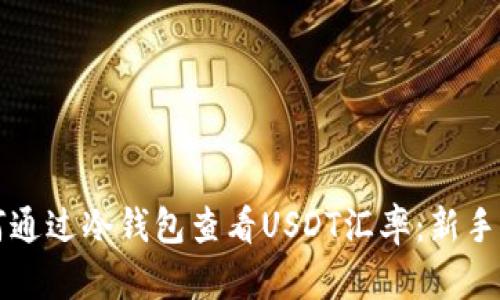 如何通过冷钱包查看USDT汇率：新手指南