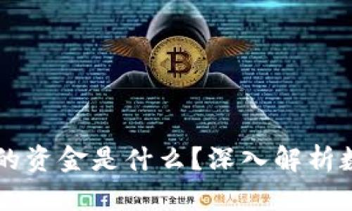 区块链钱包里的资金是什么？深入解析数字资产的本质