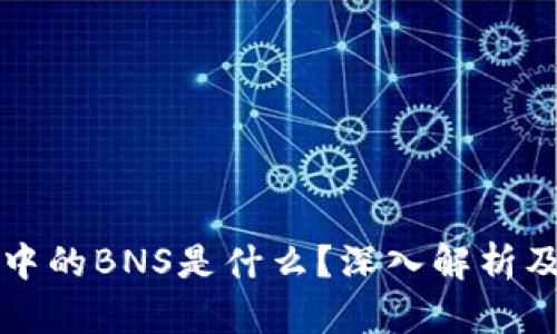 冷钱包中的BNS是什么？深入解析及其作用