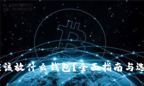 USDT应该放什么钱包？全面指南与选择技巧