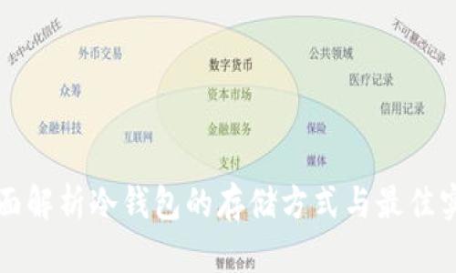 全面解析冷钱包的存储方式与最佳实践