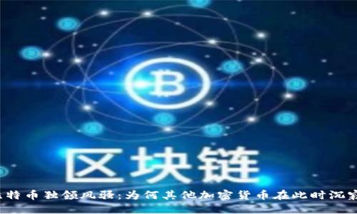 比特币独领风骚：为何其他加密货币在此时沉寂？