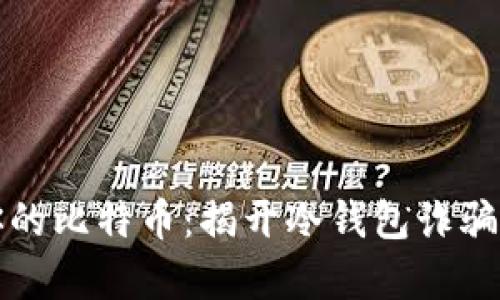 保护你的比特币：揭开冷钱包诈骗的真相