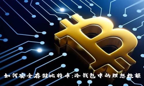 如何安全存储比特币：冷钱包中的理想数额