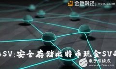 冷钱包存BSV：安全存储比