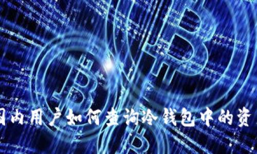 国内用户如何查询冷钱包中的资产