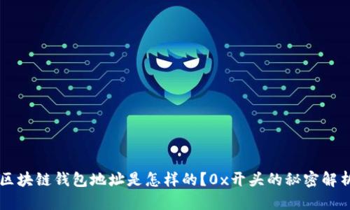区块链钱包地址是怎样的？0x开头的秘密解析