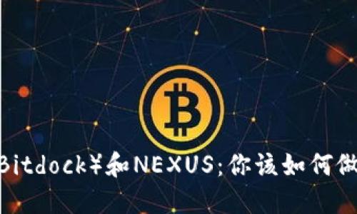 选择比特块（Bitdock）和NEXUS：你该如何做出明智选择？