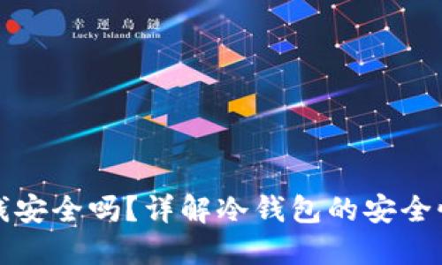 冷钱包里的钱安全吗？详解冷钱包的安全性与使用指南