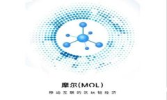 如何将DOT（波卡）放入冷