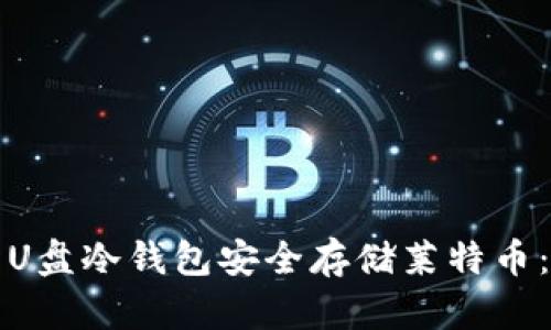 如何使用U盘冷钱包安全存储莱特币：彻底指南