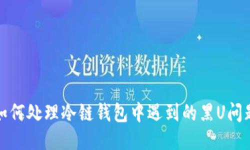 如何处理冷链钱包中遇到的黑U问题