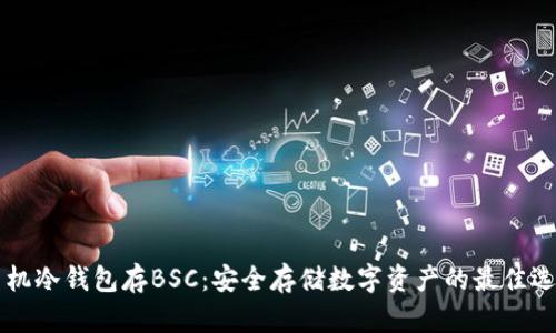 手机冷钱包存BSC：安全存储数字资产的最佳选择