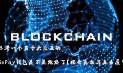 思考一个易于大众且的GoPay钱包是不是跑路了？揭